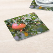 葉状低木の上の熟したザクロ スクエアペーパーコースター (アングル)