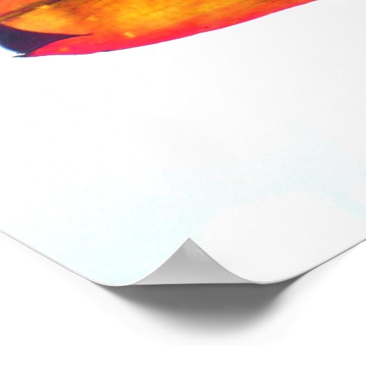 葉状植物 ポスター (角)