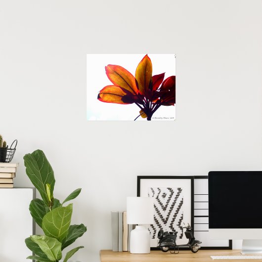 葉状植物 ポスター (ホームオフィス)