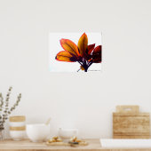 葉状植物 ポスター (キッチン)