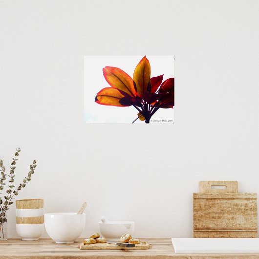 葉状植物 ポスター (キッチン)