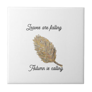 葉白陶瓦が落ちている タイル