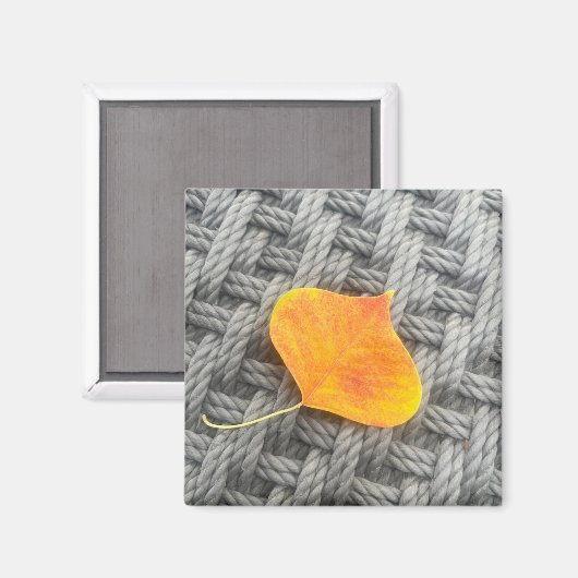 葉磁石 マグネット (正面/裏面)