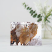 葉秋前の秋の ポストカード (スタンド正面)