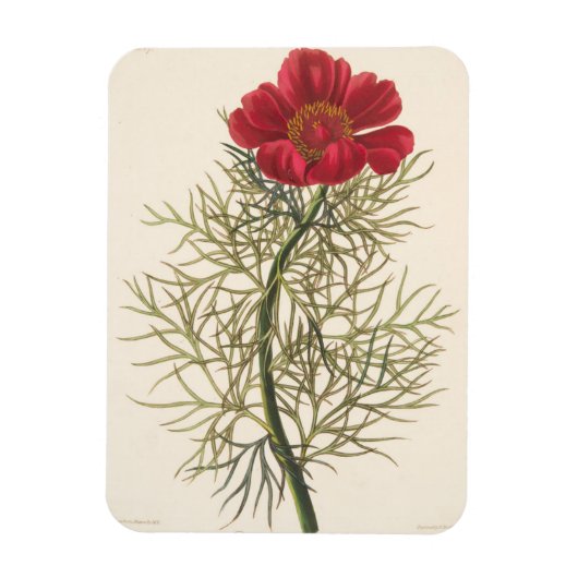 葉素晴らし葉 マグネット (縦)