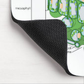 葉組織構造植物細胞図 マウスパッド (コーナー)