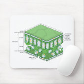 葉組織構造植物細胞図 マウスパッド (マウス)