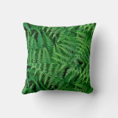 葉緑両面シダ： クッション (裏面)