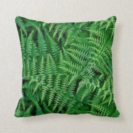 葉緑両面シダ: クッション