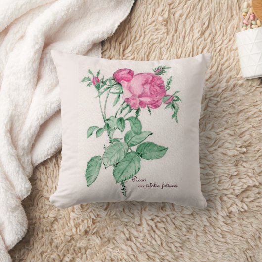 葉緑体 クッション (ブランケット)