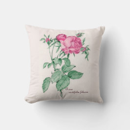 葉緑体 クッション