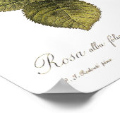 葉緑体 ポスター (角)