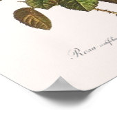 葉緑体 ポスター (角)