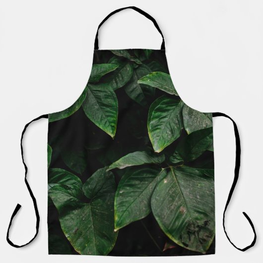 葉緑葉植物の焦点写真 エプロン (正面)