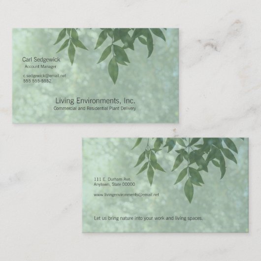 葉緑 名刺 (正面/裏面)