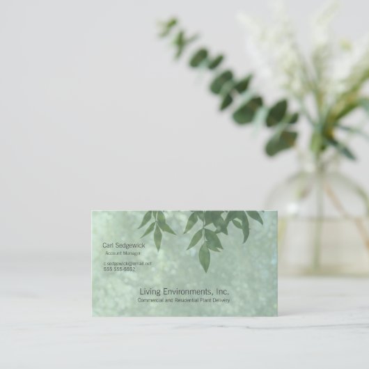 葉緑 名刺 (スタンド正面)