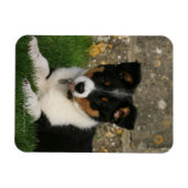 葉縁ど口コリー子犬 マグネット (横)