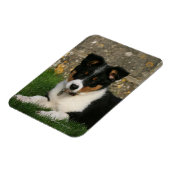 葉縁ど口コリー子犬 マグネット (左側)