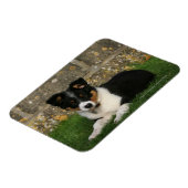 葉縁ど口コリー子犬 マグネット (左側)