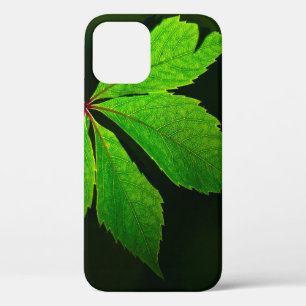葉脈パターンテクスチャプラント iPhone 12ケース