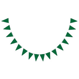 葉脈鮮やかが明瞭な緑の葉はイリュミ バンティングフラッグ