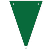 葉脈鮮やかが明瞭な緑の葉はイリュミ バンティングフラッグ (第2の旗)