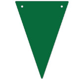 葉脈鮮やかが明瞭な緑の葉はイリュミ バンティングフラッグ (第1の旗)