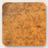 葉落ちた8A コースター (正面)