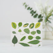 葉葉書 ポストカード (スタンド正面)