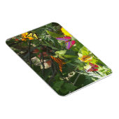 葉蝶プレミアム磁石 マグネット (右側)