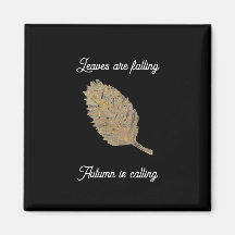 葉黒磁石が落下している