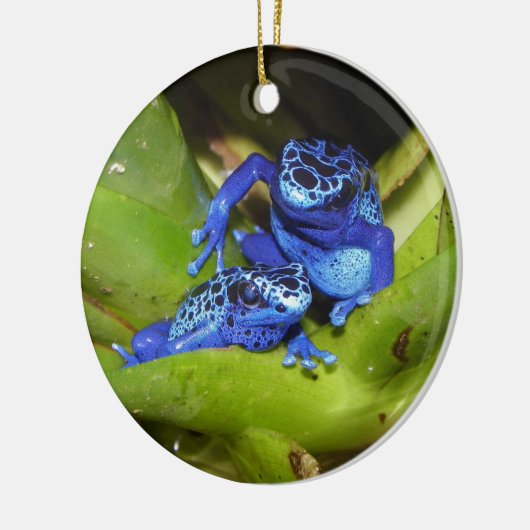 葉1の青い毒投げ矢のカエル セラミックオーナメント (左)