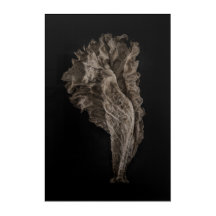 葉8色バージョンなし