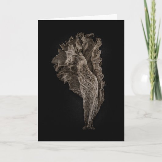 葉8色バージョンなし カード (正面)