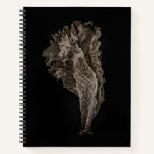 葉8色バージョンなし