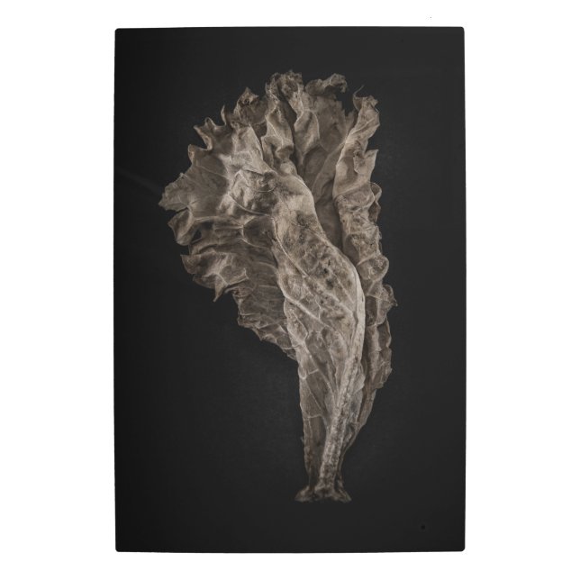 葉8色バージョンなし メタルプリント (正面)