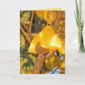 葉 カード (正面)