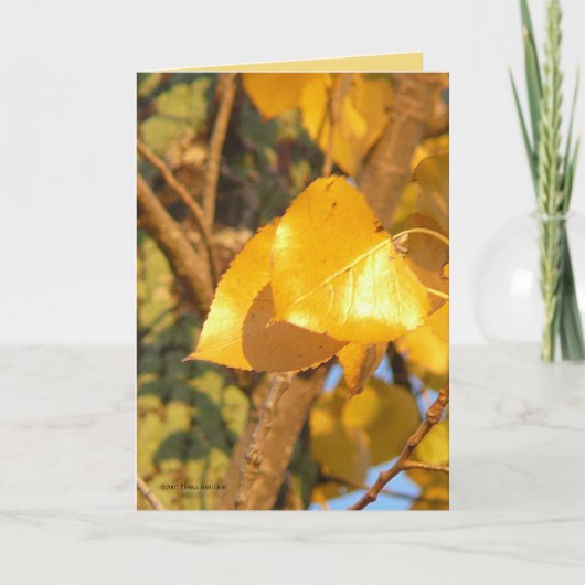 葉 カード (正面)