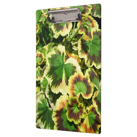 葉 クリップボード (左)