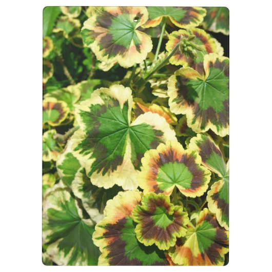 葉 クリップボード (裏面)