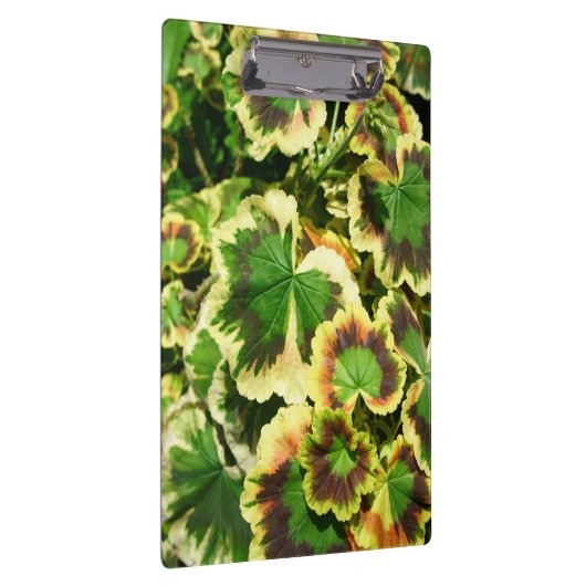 葉 クリップボード (右)