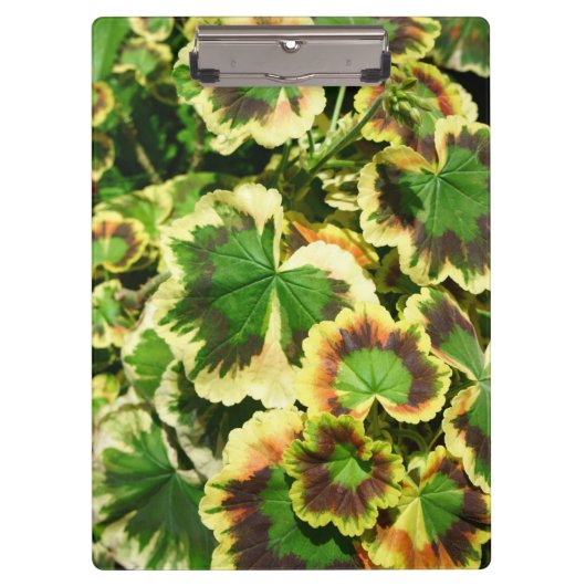 葉 クリップボード (正面)