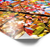 葉 フォトプリント            (角)