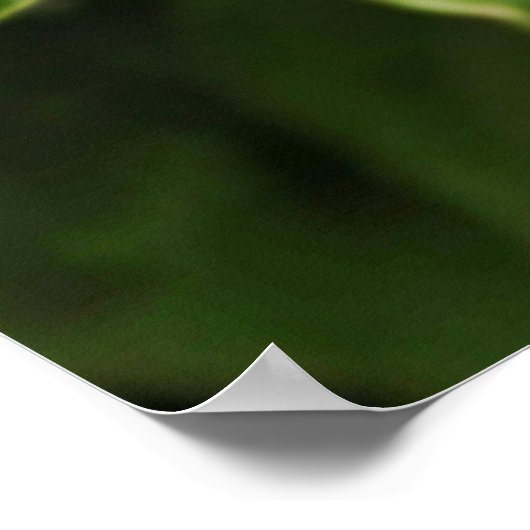 葉 ポスター (角)