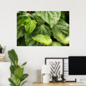 葉 ポスター (ホームオフィス)