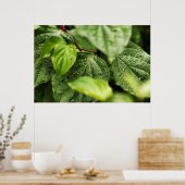 葉 ポスター (キッチン)