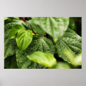 葉 ポスター (正面)