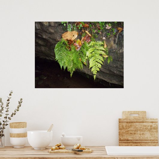 葉 ポスター (キッチン)