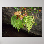 葉 ポスター (正面)