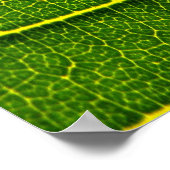 葉 ポスター (角)